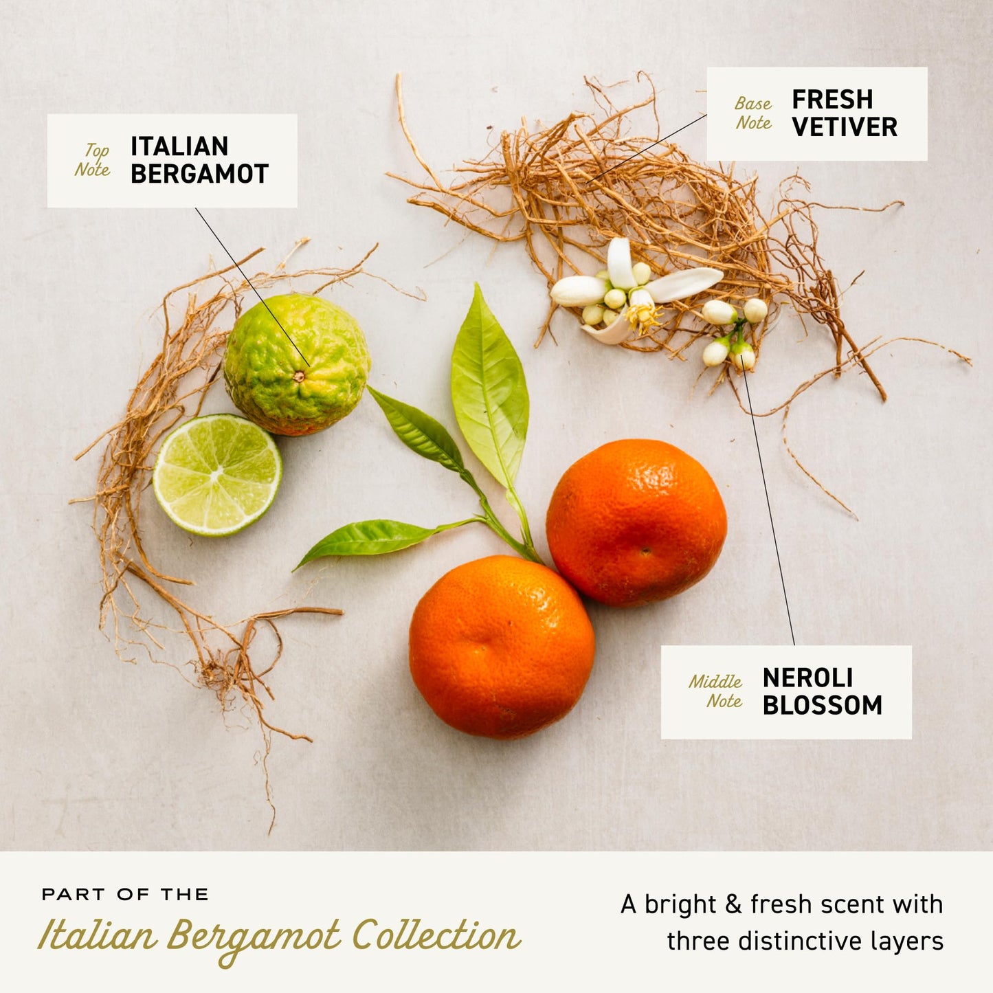 Cremo Exfoliating Body Bar for Men, Italian Bergamot Scent, Multi-Layered Fragrance That Buffs, Cleanses and Hydrates Skin, 5oz