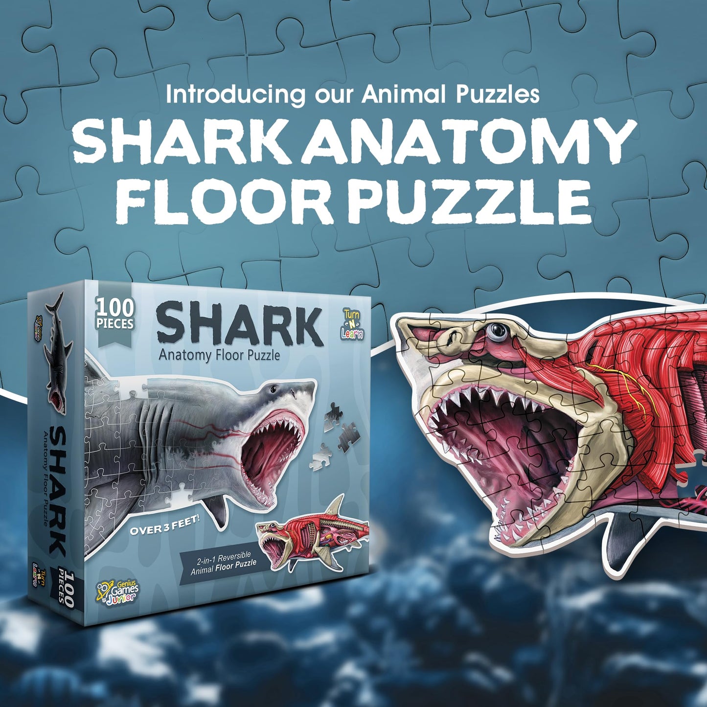 Shark Animal Anatomy 100-Piece Double-Sided Floor Puzzle – Large Educational Jigsaw for Kids Ages 3-10, Toddlers & Family Fun