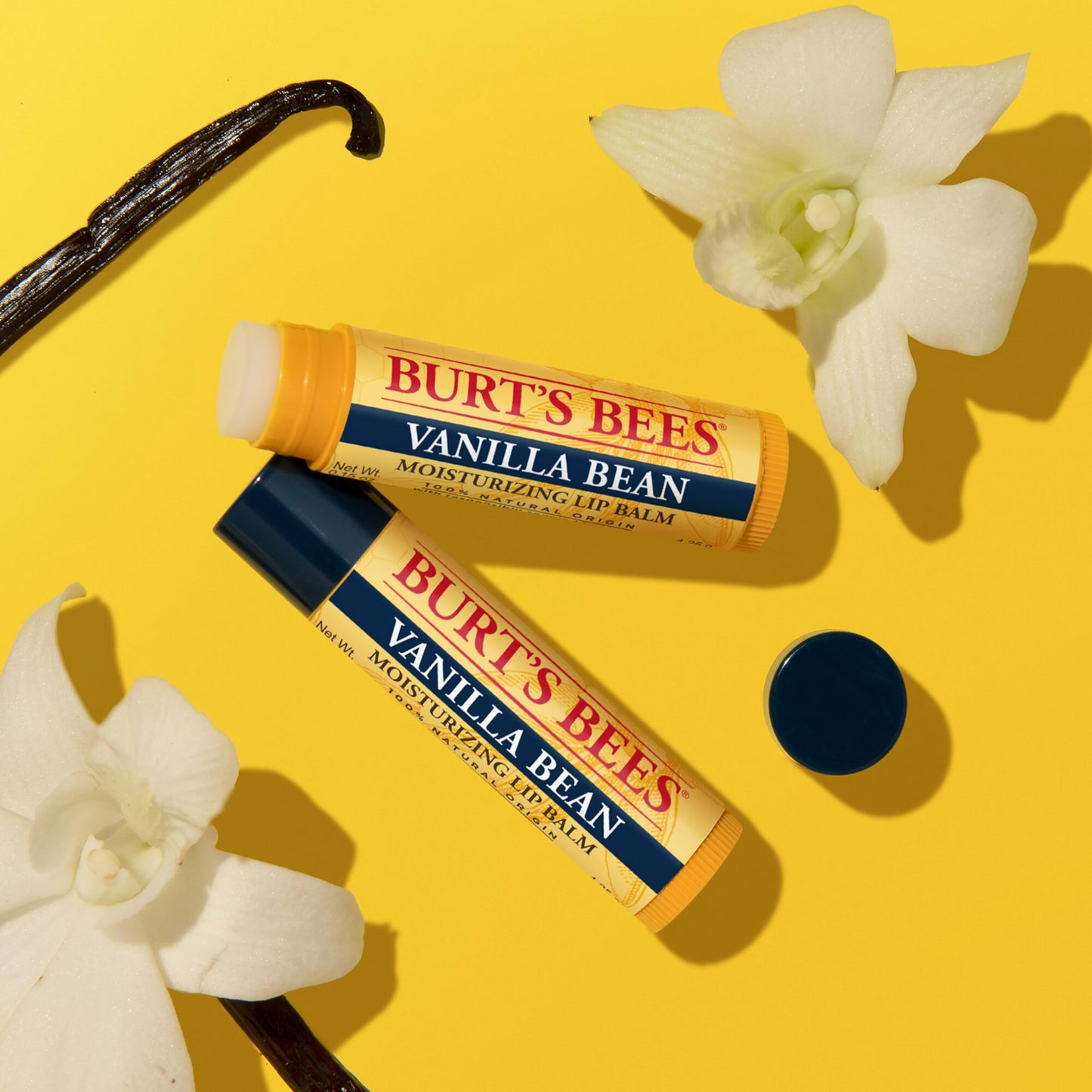 Burt’s Bees Vanilla Bean Lip Balm – Natural Lip Moisturizer with Responsibly Sourced Beeswax, Tint-Free Hydrating Balm, 2 Tubes, 0.15 oz Each