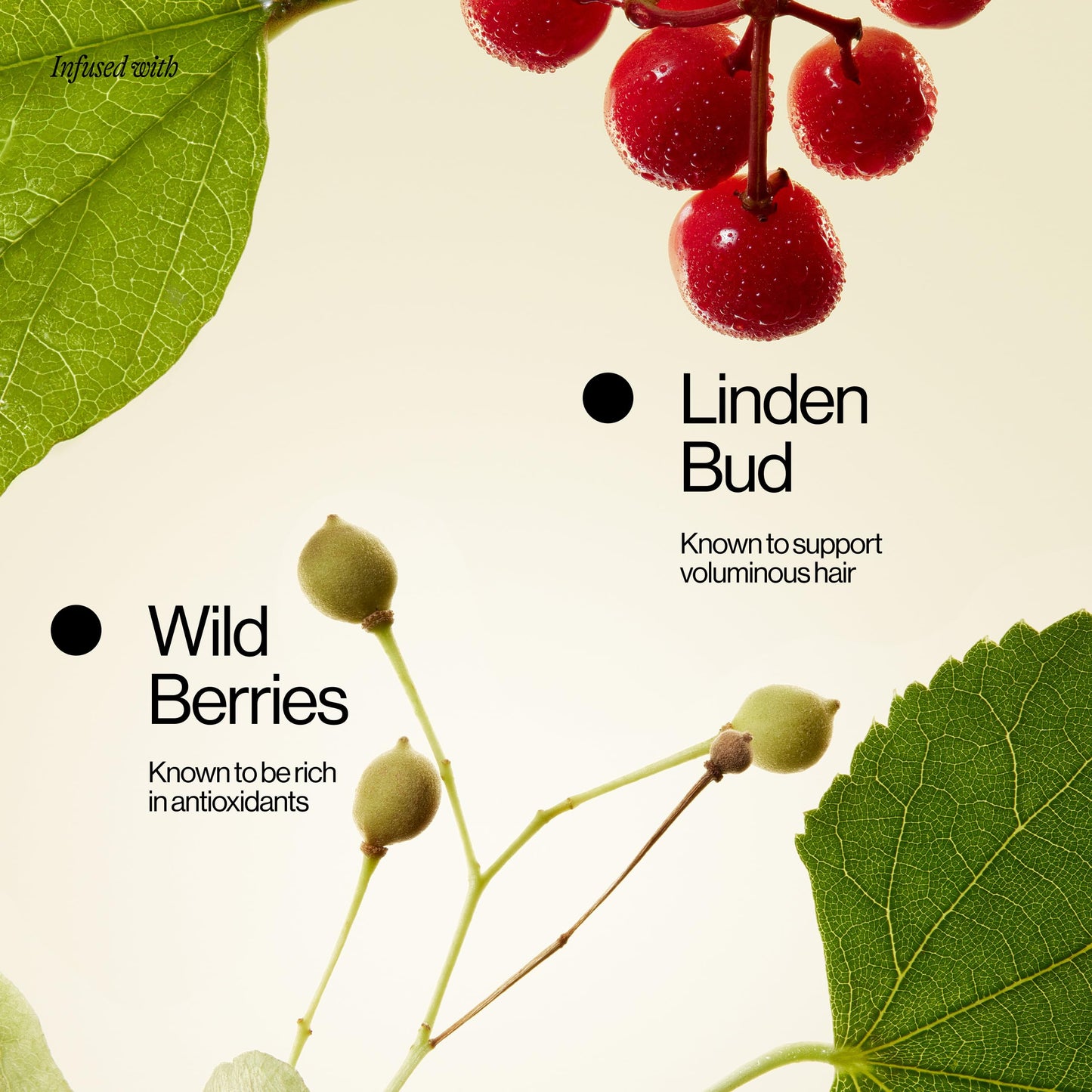 Eva NYC Lift Off Volumizing + Thickening Hair Mist, Volumizing Spray for Fine Hair, 5.4 fl oz