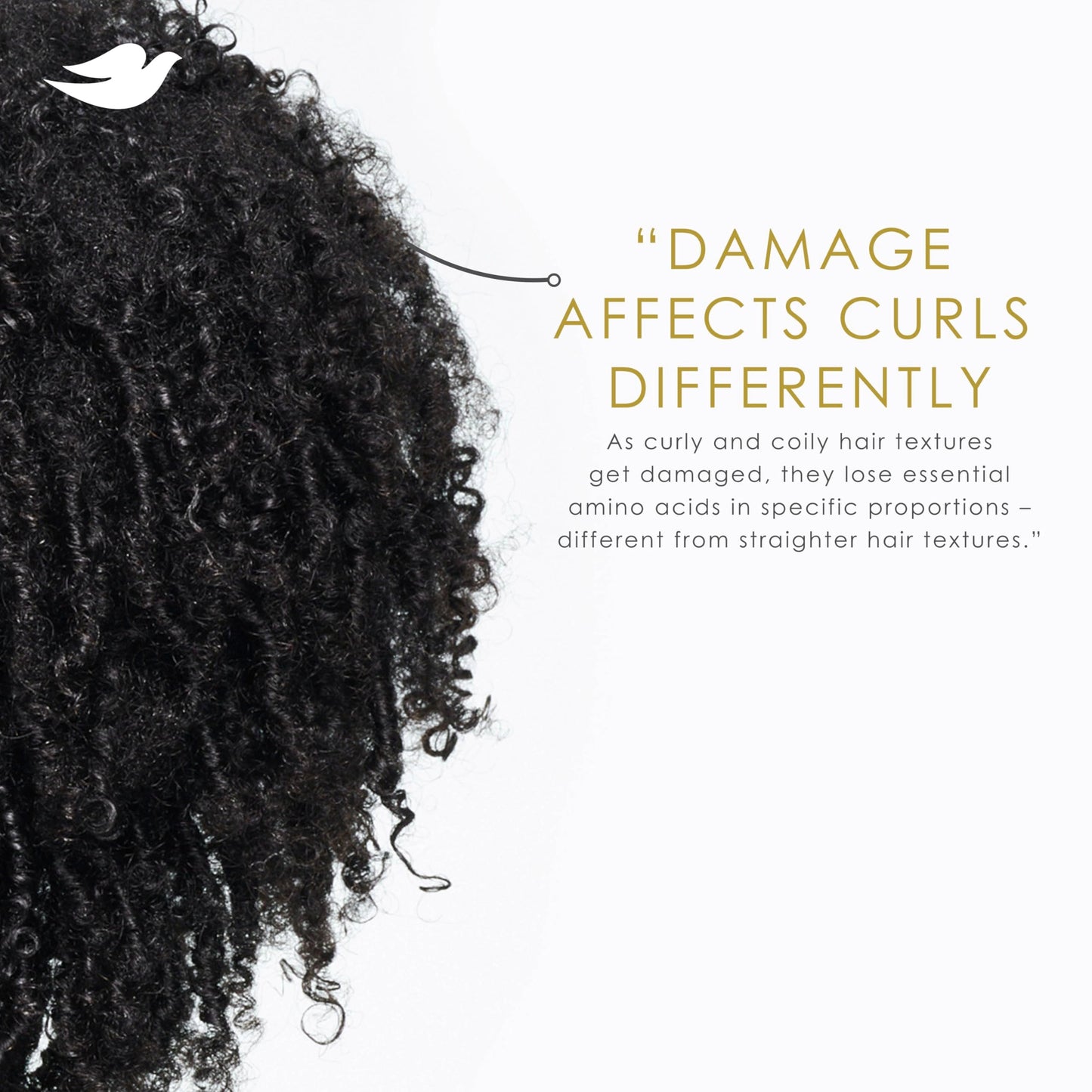 Dove Curl Cream Amino Curl for Curly, Coily Hair with Bio-Protein Care Technology + Amino Complex 8 Fl Oz