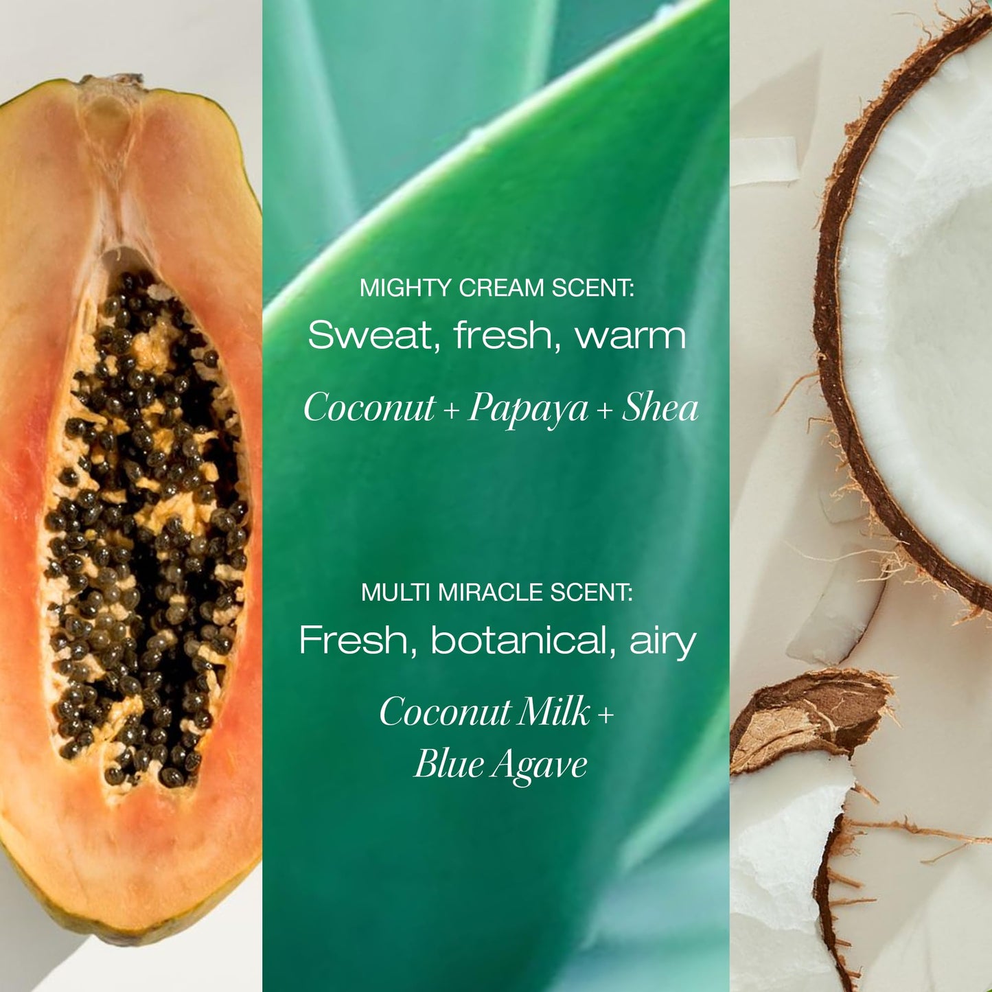 RAW SUGAR Leave-In Conditioner Duo | Multi-Miracle Hair Mist & Mighty Cream | Heat Protectant, Hydrating & Frizz Control Bundle for All Hair Types