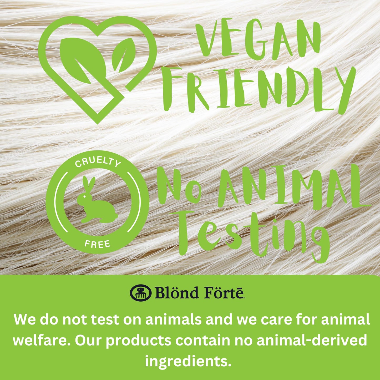 Perfect Blonde Hair Bleach Toner Lightener Powder Lightening Kit 20 Volume 800 ml Developer & Brush & Gloves - Made in Italy by Blond Forte