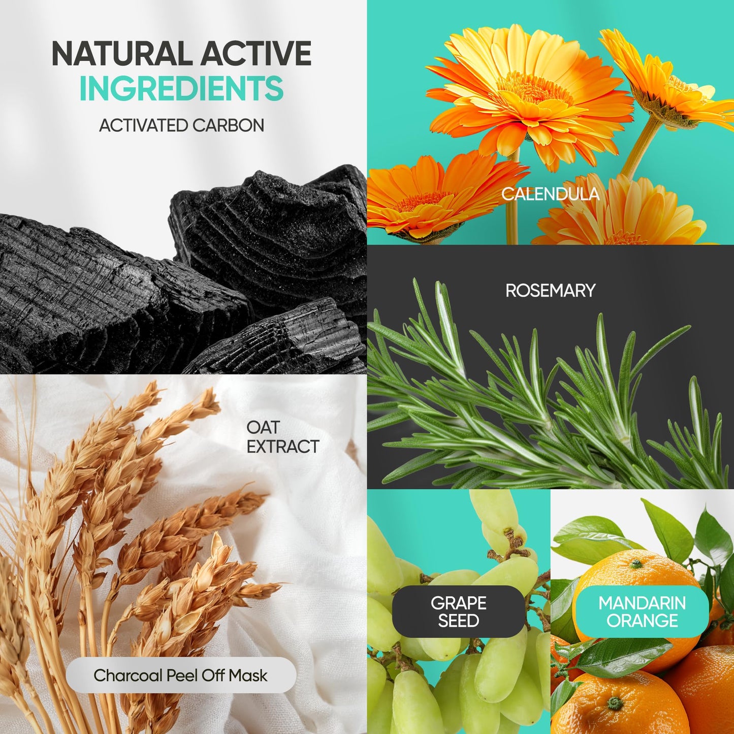 SUNATORIA Activated Charcoal Peel-Off Mask - Deep Pore Blackhead Remover for Men & Women, Nose & Face Care, Pore Cleaner