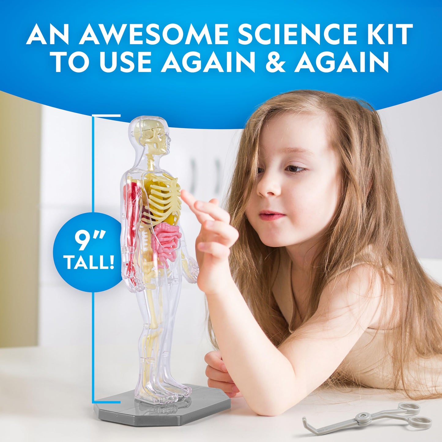 National Geographic 32-Piece Human Body Model for Kids – Glows in Dark, Interactive Anatomy Kit with Bones, Organs & Muscles