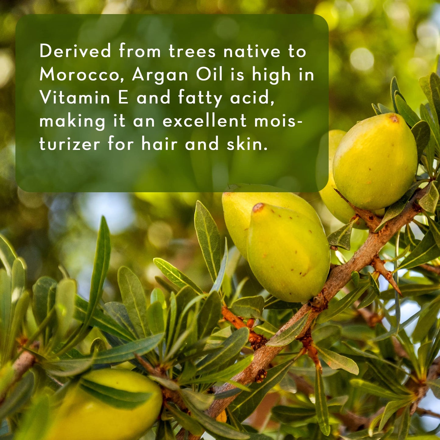 Pure Body Naturals Argan Oil for Skin and Face, 4 fl oz - Cold Pressed, Light, Pure Argan Oil for Hair - Aceite de Argan