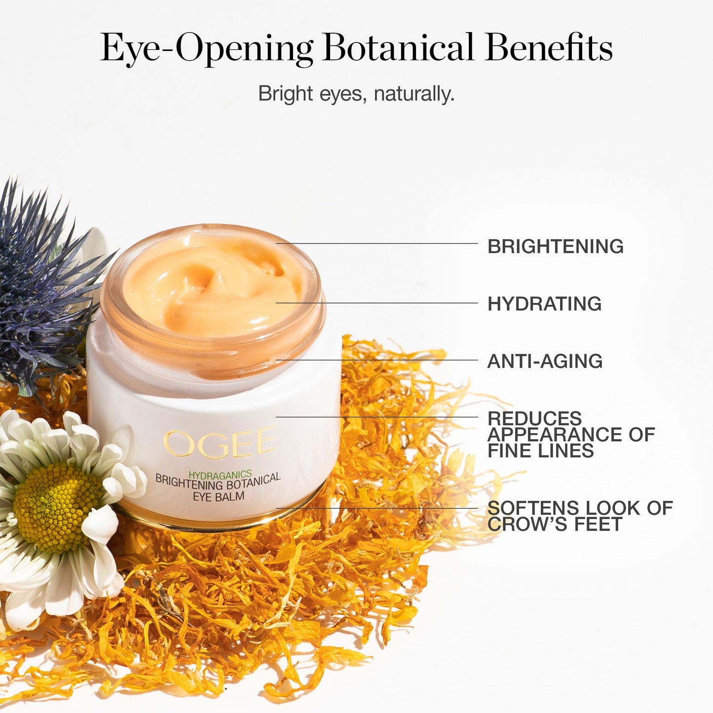 Ogee Botanical Eye Balm – Organic Brightening Eye Cream for Dark Circles & Puffiness with Natural Retinol Alternative & Hyaluronic Acid