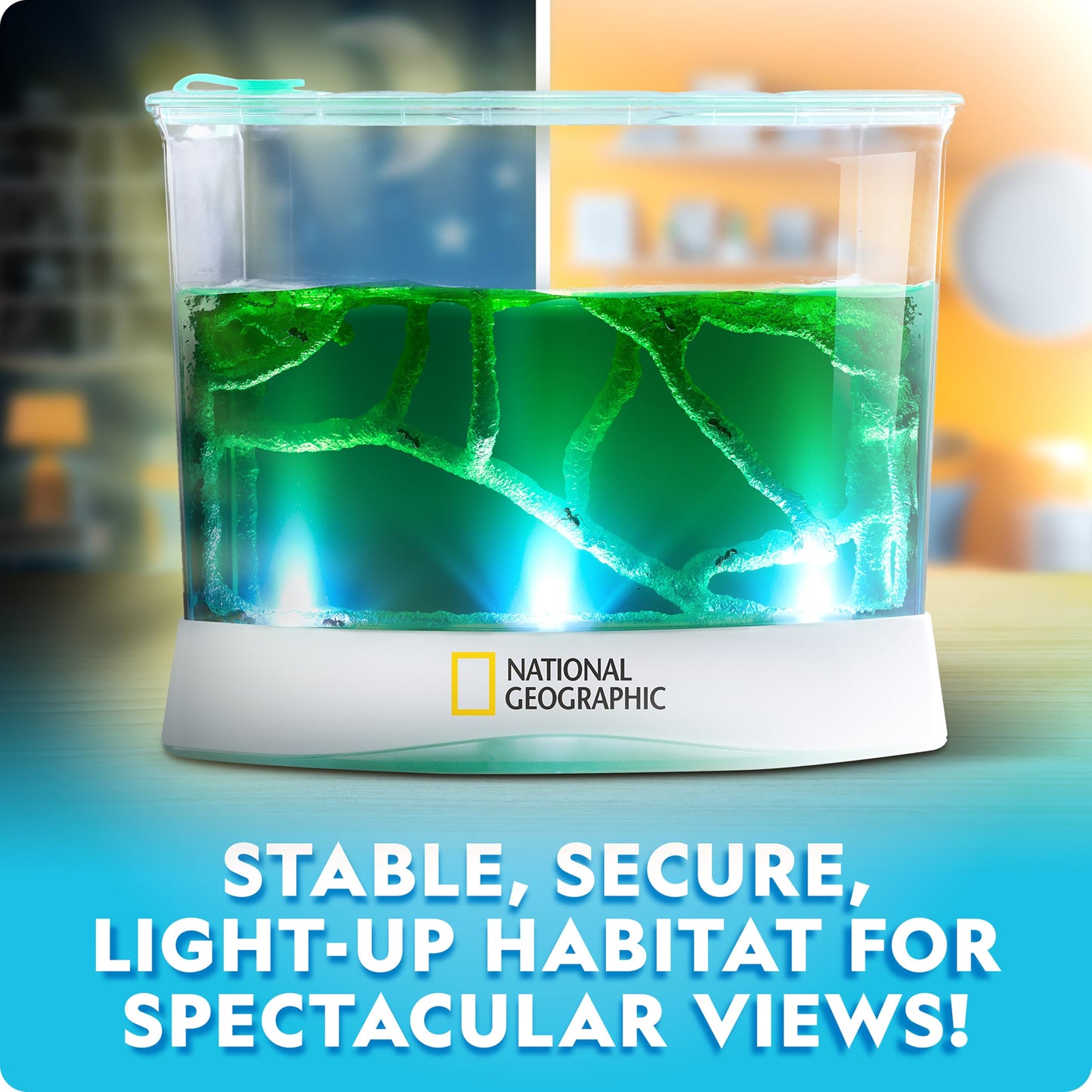 National Geographic Ant Habitat Kit for Kids – Light-Up Terrarium with Magnifiers, Tunnels & Activities, Ant Colony Explorer