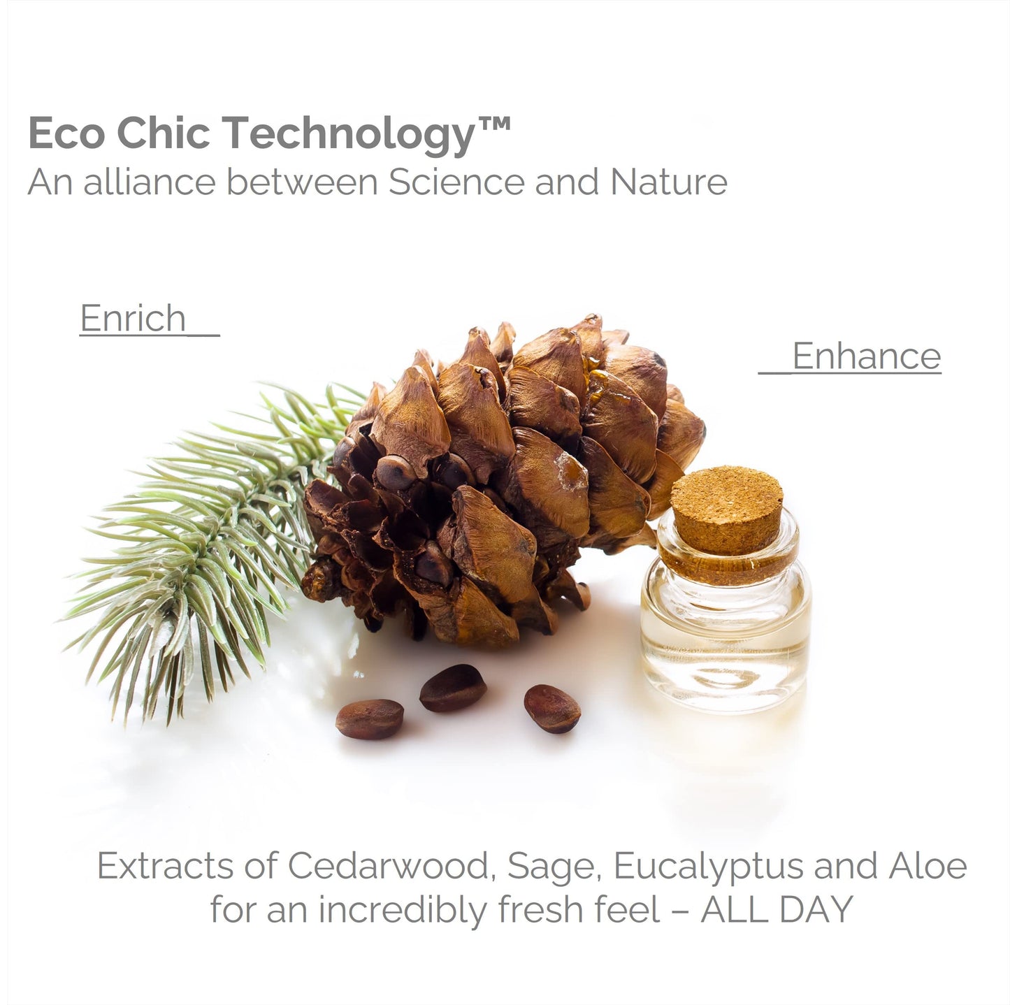 GIOVANNI COSMETICS CLAY HAIR MEN CEDARWOOD