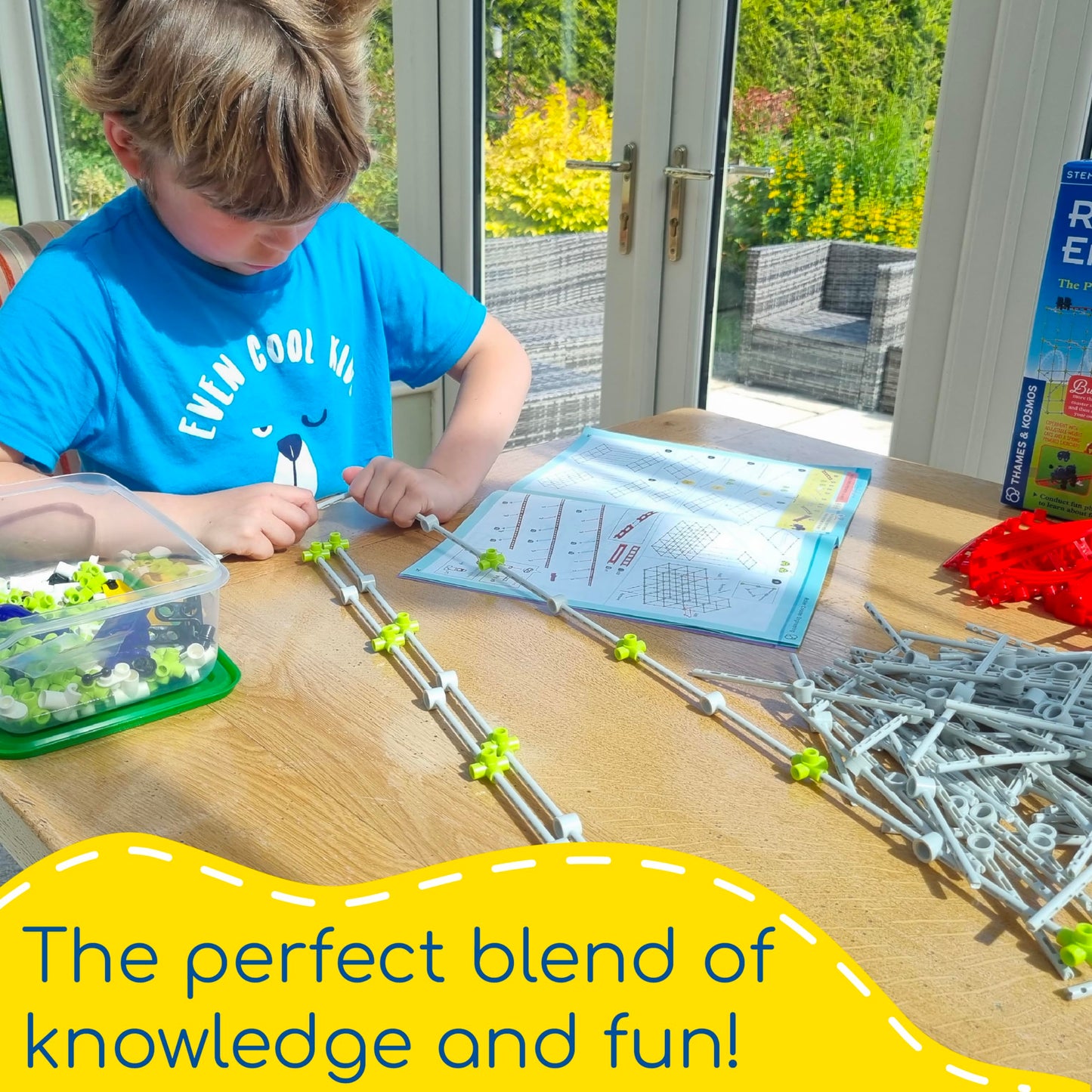 Thames & Kosmos Roller Coaster STEM Kit – Build & Experiment with Working Models, Explore Physics, Forces, Motion, Energy & Velocity