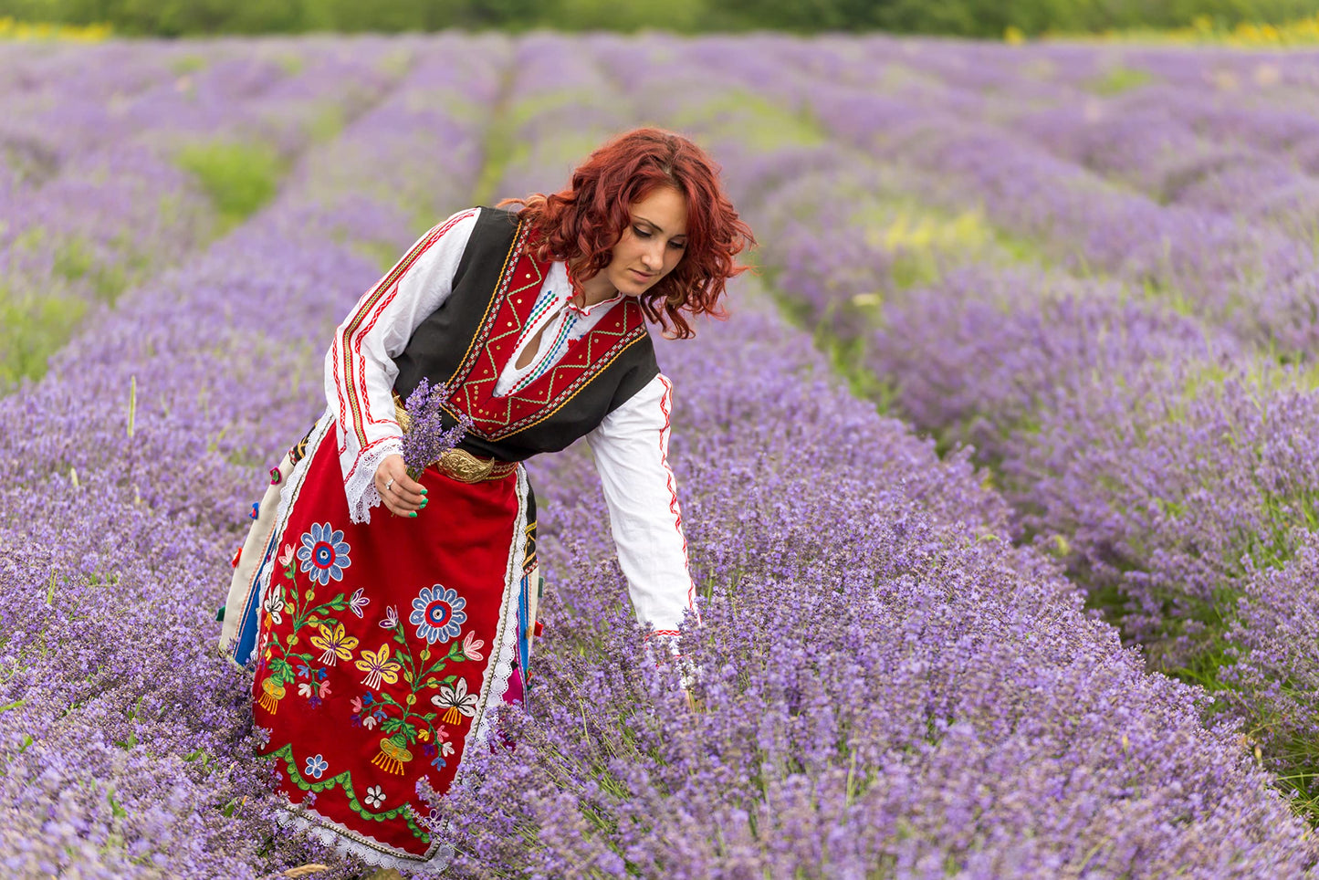 Lavender Body & Foot Scrub 10oz – Shea Butter & Coconut Oil Infused, Relaxing Fragrance, Perfect Stocking Stuffer for Serene Skin Care