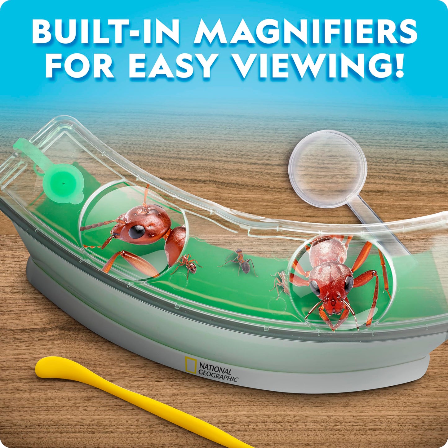 National Geographic Ant Habitat Kit for Kids – Light-Up Terrarium with Magnifiers, Tunnels & Activities, Ant Colony Explorer