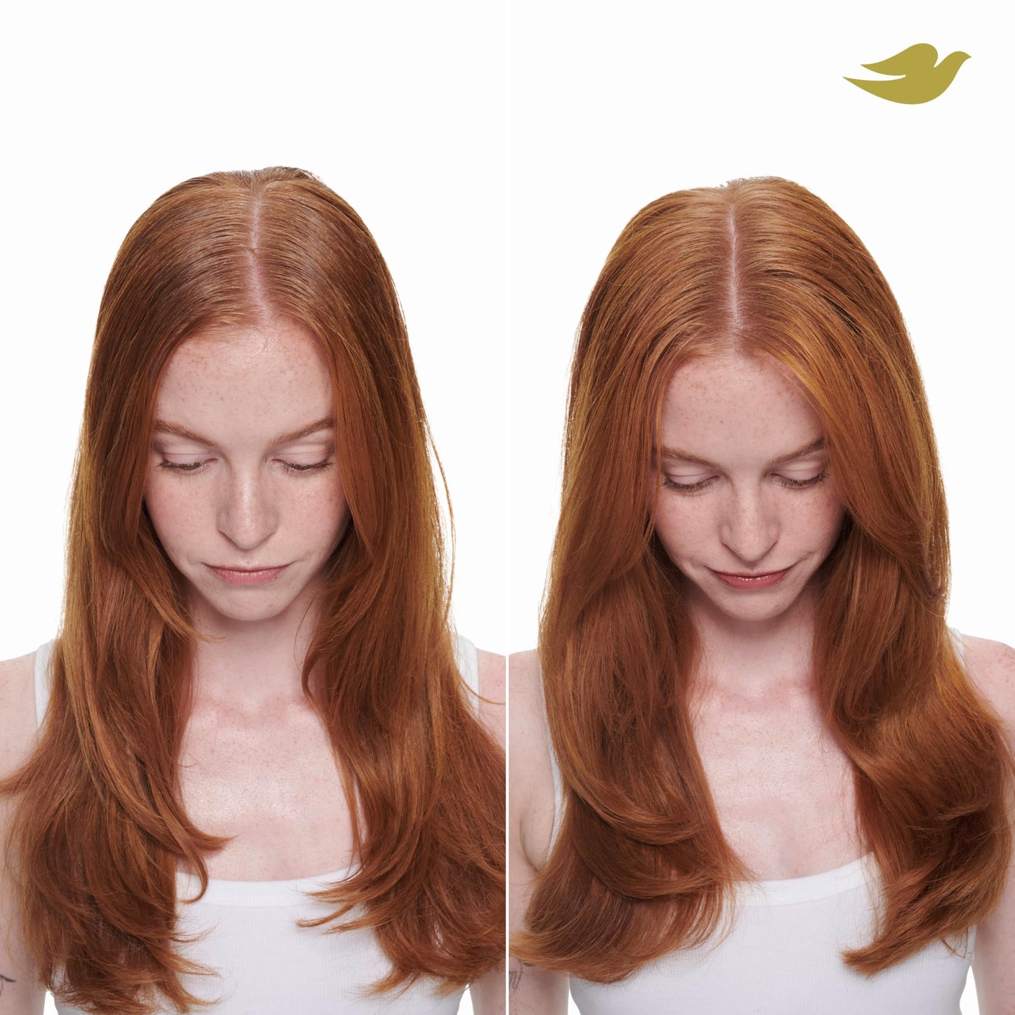 Dove Advanced Dry Shampoo Fresh Coconut Refresh & Revive Hair Without Water for Clean & Fresh Hair 7.3 oz