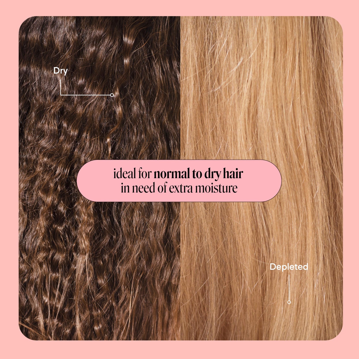 MONDAY HAIRCARE Moisture Shampoo & Conditioner Set | Hydrating for Dry, Frizzy, Coarse Hair | With Coconut Oil, Rice Protein & Shea Butter | 12 fl oz, 2 Pack