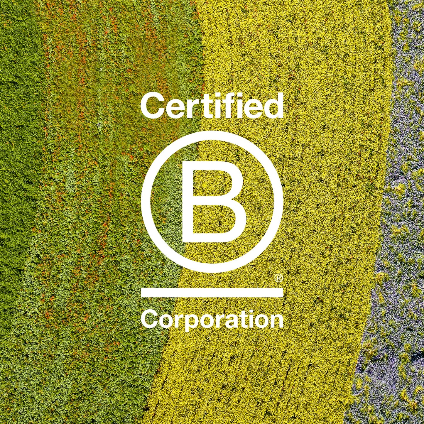 Davines OI Conditioner absolute beautifying conditioner, 8.80 Oz