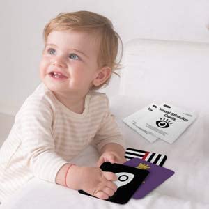 beiens High Contrast Baby Flashcards, 80pcs 160 Pages, Black & White + Color, Visual Stimulation Learning Cards for 0-36 Months