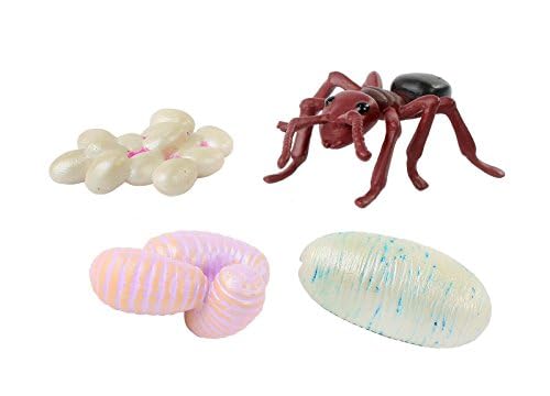 Insect Lore 50 Live Western Harvester Ants - Grown in The USA - Includes Ant Life Cycle Stages Figurines - Refill Habitat and Observe