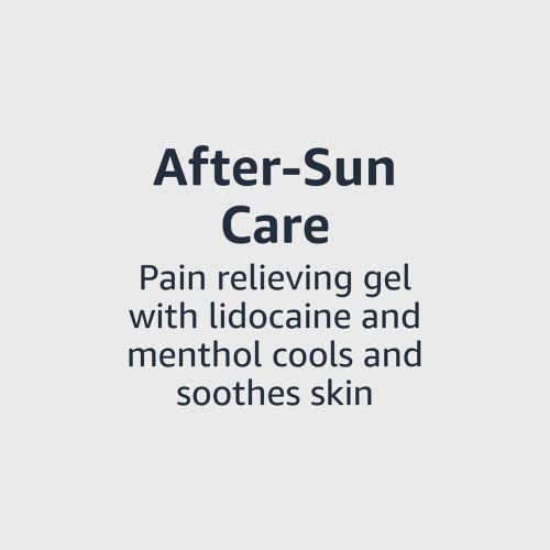 Amazon Brand - Solimo After Sun Gel with Aloe, Lidocaine and Menthol, 16 Fluid Ounce (1 Pack)