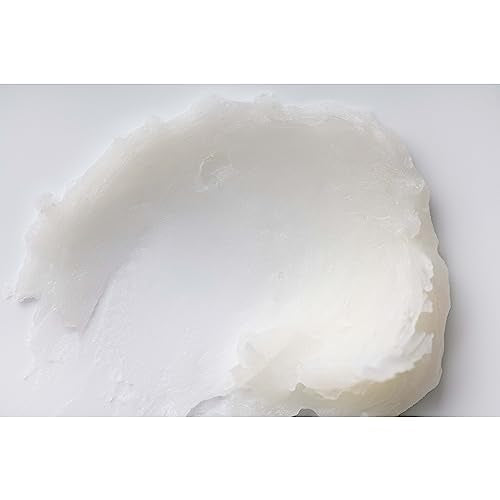 Burt’s Bees Vanilla Bean Lip Balm – Natural Lip Moisturizer with Responsibly Sourced Beeswax, Tint-Free Hydrating Balm, 2 Tubes, 0.15 oz Each