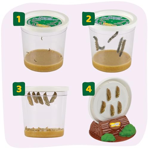 Insect Lore Butterfly Garden Kit - 8" Habitat with 5 Live Caterpillars, Stickers & Extras | STEM Life Science Gift to Grow & Release
