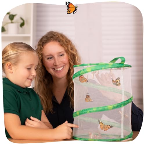 Insect Lore Butterfly Garden Kit – Grow 10 Live Painted Lady Butterflies, STEM Activity with Habitat, Journal, Stickers & Seeds