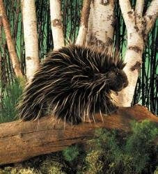 Folkmanis Porcupine Hand Puppet cd