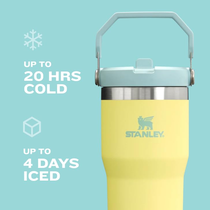 Stanley IceFlow 2.0 30oz Flip Straw Tumbler – Insulated Stainless Steel, Leak-Resistant, Twist-On Lid, BPA-Free, Dried Pine