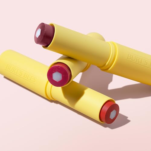 Burt’s Bees Tinted Boosted Balm, Misty Mauve – 24H Hydrating Lip Moisturizer with Natural Beeswax, 100% Natural Origin, Stocking Stuffer, 0.16 oz