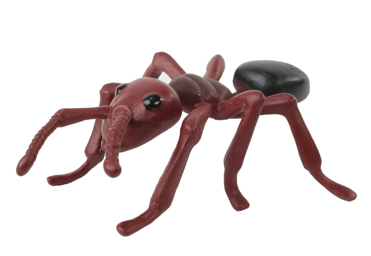 Insect Lore 50 Live Western Harvester Ants - Grown in The USA - Includes Ant Life Cycle Stages Figurines - Refill Habitat and Observe