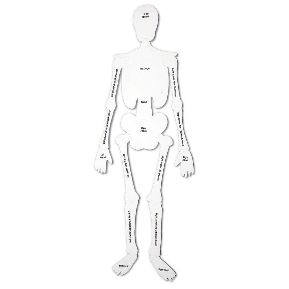 Learning Resources Skeleton Floor Puzzle, Homeschool Accessory, Anatomy Puzzle, Floor Puzzle, 15 Pieces, Ages 3+