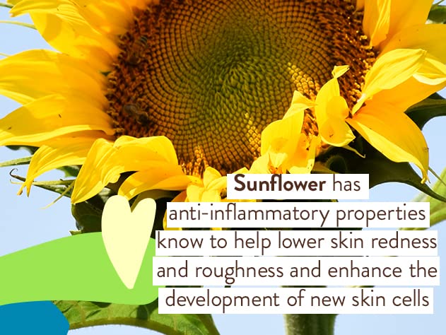 Babo Botanicals Baby Mineral Sunscreen SPF 50 – Natural Zinc Oxide, Fragrance-Free, Water-Resistant, Vegan Sunblock for Sensitive Skin, Kids & Babies