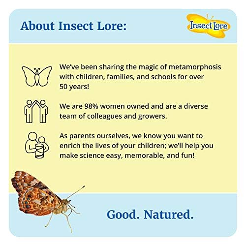 Insect Lore Butterfly Garden Kit - 8" Habitat with 5 Live Caterpillars, Stickers & Extras | STEM Life Science Gift to Grow & Release