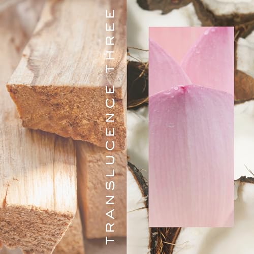 Kristin Ess Hair Perfume Translucence Three – Tropical Hair Mist with Coconut, Lily & Palo Santo – Refreshes, Deodorizes & Adds Shine, 2.5 fl oz