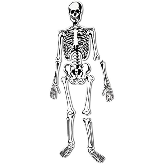 Learning Resources Skeleton Floor Puzzle, Homeschool Accessory, Anatomy Puzzle, Floor Puzzle, 15 Pieces, Ages 3+
