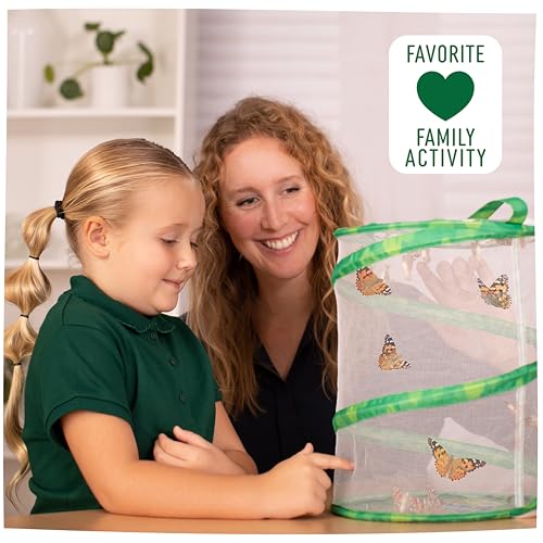 Insect Lore Raise & Release Butterfly Garden Kit – STEM Caterpillar Habitat with Voucher for Kids, Classrooms & Homeschool Learning