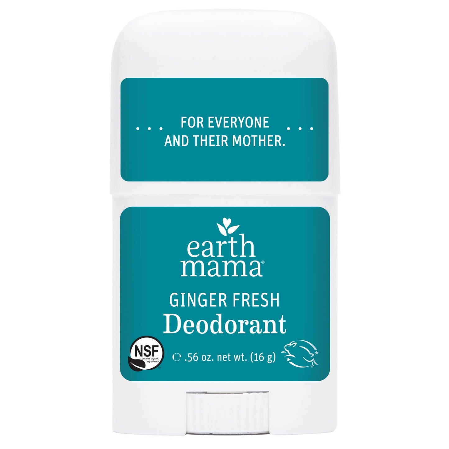 Earth Mama “A Little Something” Gift Box – Organic Maternity Skincare Set for Expecting & New Moms, 5-Piece Body Care Kit