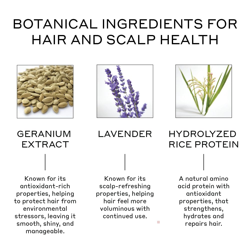 ZENAGEN Volume Foam – Lightweight Densifier & Volumizer for All Hair Types | Boosts Thickness, Strength & Hold | Vegan, Non-Greasy, 7 oz