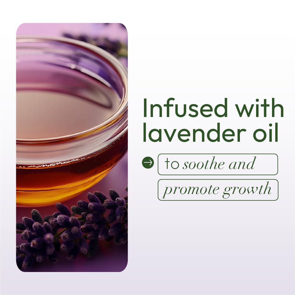 ORS Olive Oil Braidzone Soothing Scalp Oil with Lavender, Acai & Biotin for Nourishment 4.3 oz