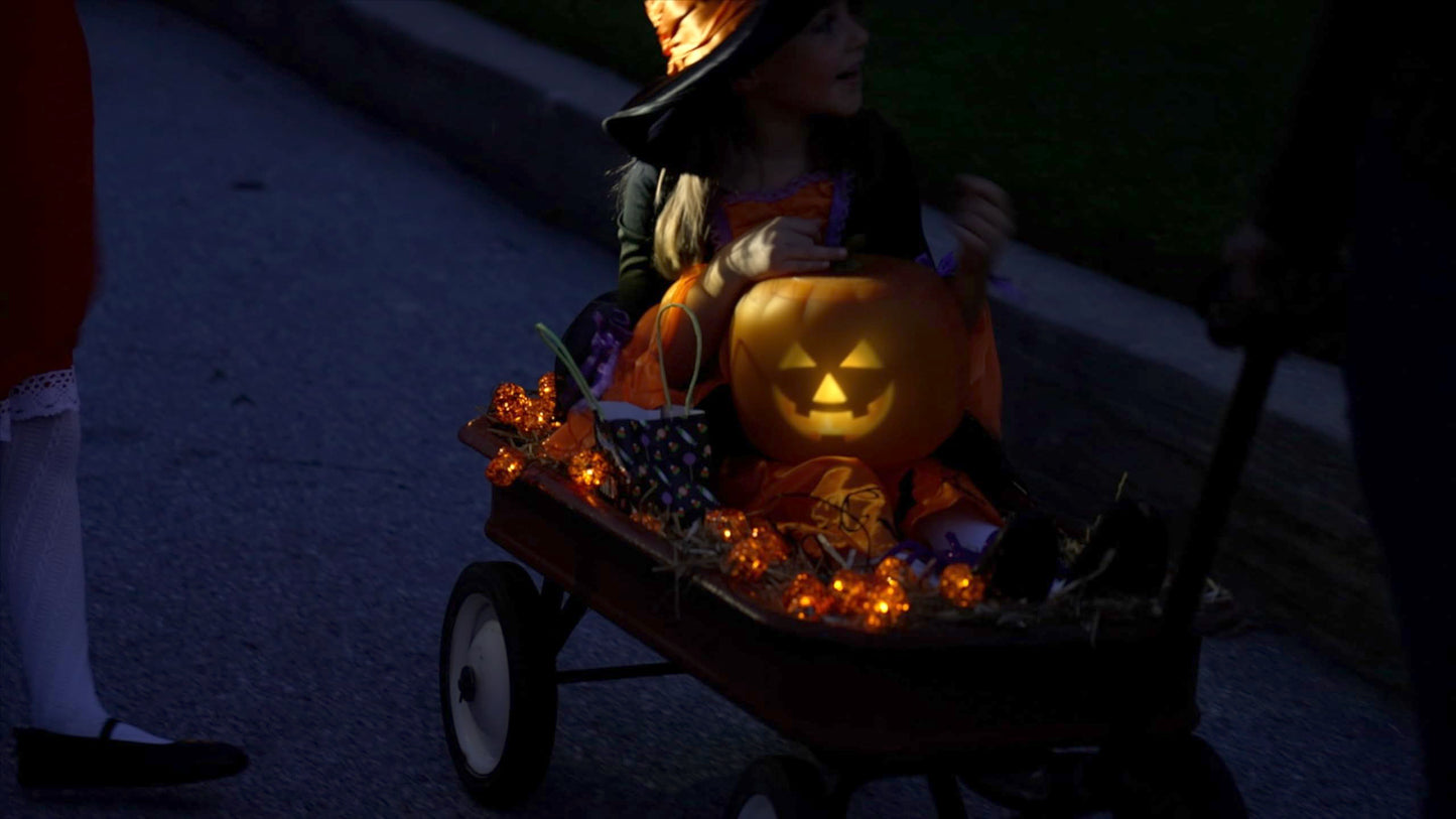 ANIMAT3D Jabberin' Jack Talking Animated Pumpkin with 8 Inch Screen and Built-in Projector + Speaker