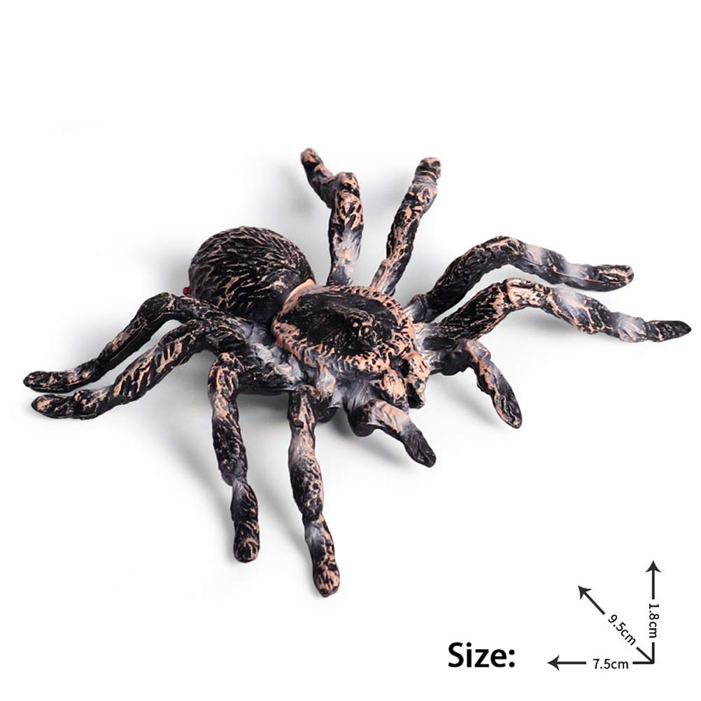 FLORMOON Realistic Spider & Insect Figures – Lifelike Animal Toy Set for Kids, Toddlers, Educational & Birthday Play (Giant Whiteknee)