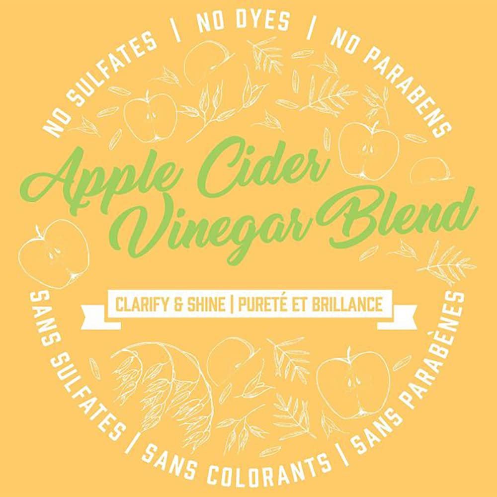 Aveeno Apple Cider Vinegar Shampoo & Conditioner Set – Clarifying & Balancing for Oily or Dull Hair, Adds Shine, Paraben & Dye-Free, 12 Fl Oz