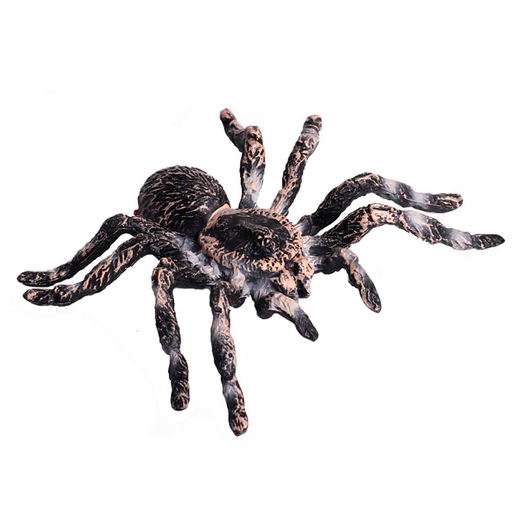 FLORMOON Realistic Spider & Insect Figures – Lifelike Animal Toy Set for Kids, Toddlers, Educational & Birthday Play (Giant Whiteknee)