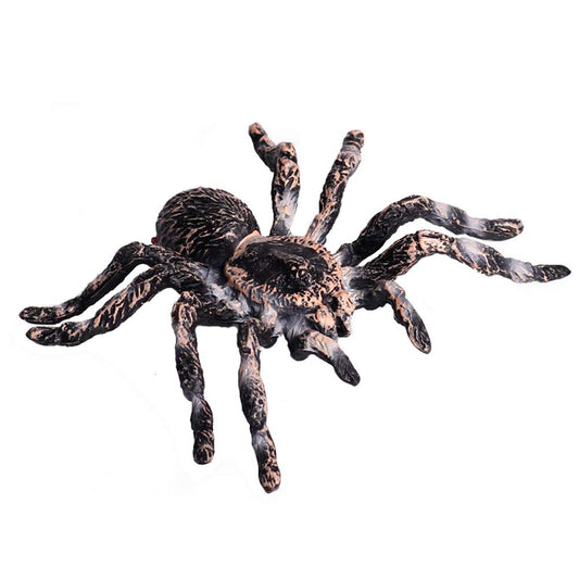 FLORMOON Realistic Spider & Insect Figures – Lifelike Animal Toy Set for Kids, Toddlers, Educational & Birthday Play (Giant Whiteknee)