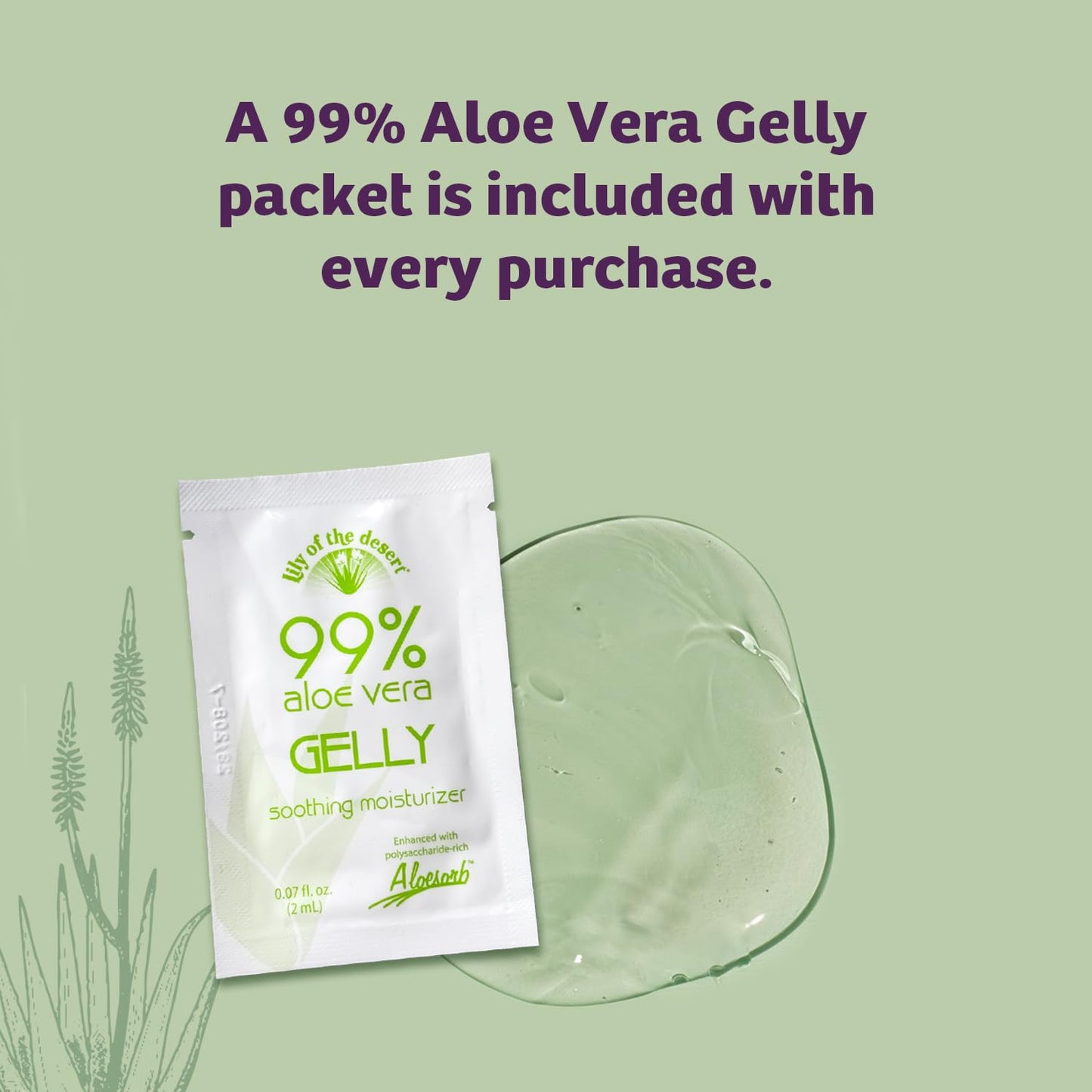 Lily Of The Desert Gelly Moisturizer, 99% Organic Aloe Vera Gel with Vitamin E & C – Soothes Sunburn, After Sun Skin Care, 16 Fl Oz