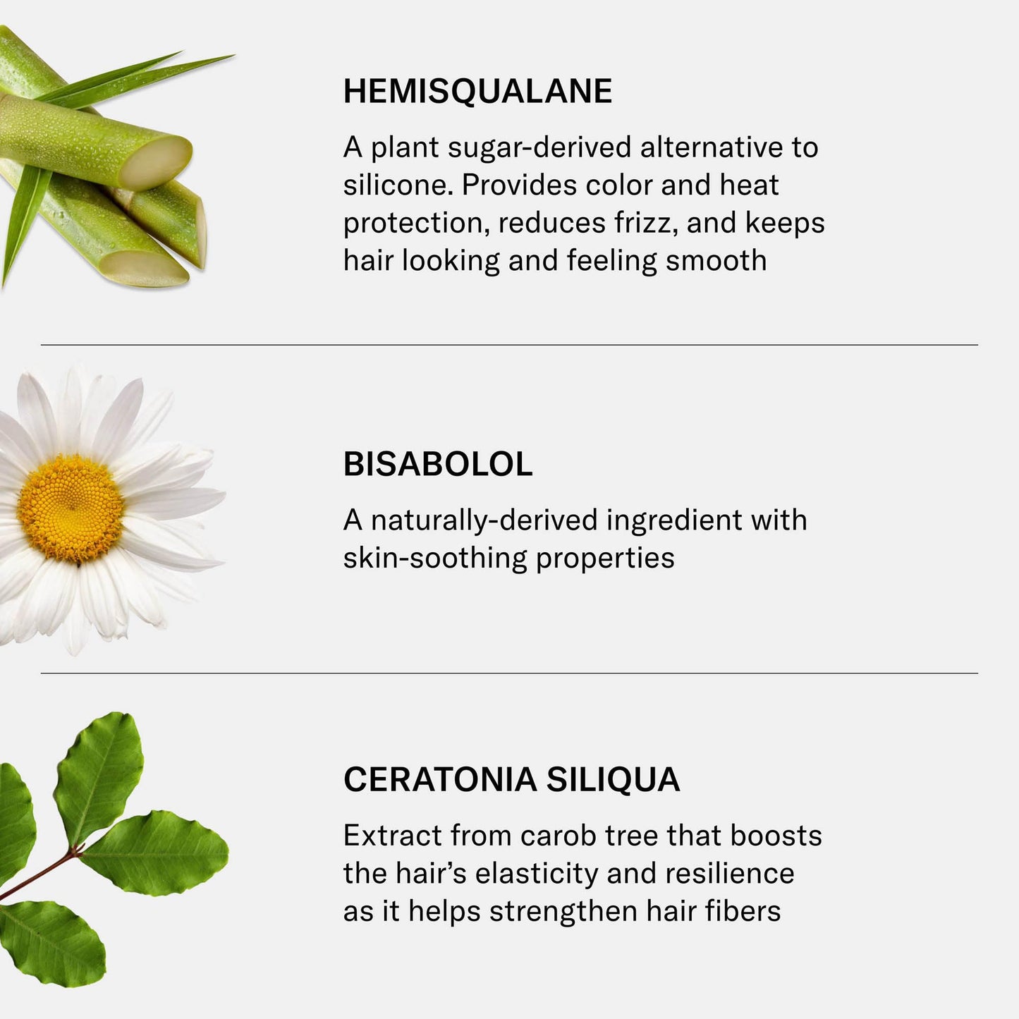 SEEN Curly Creme Fragrance Free – Curl Defining, Anti-Frizz Styling Cream with Heat Protection, Sulfate & Silicone Free, Safe for Sensitive Skin