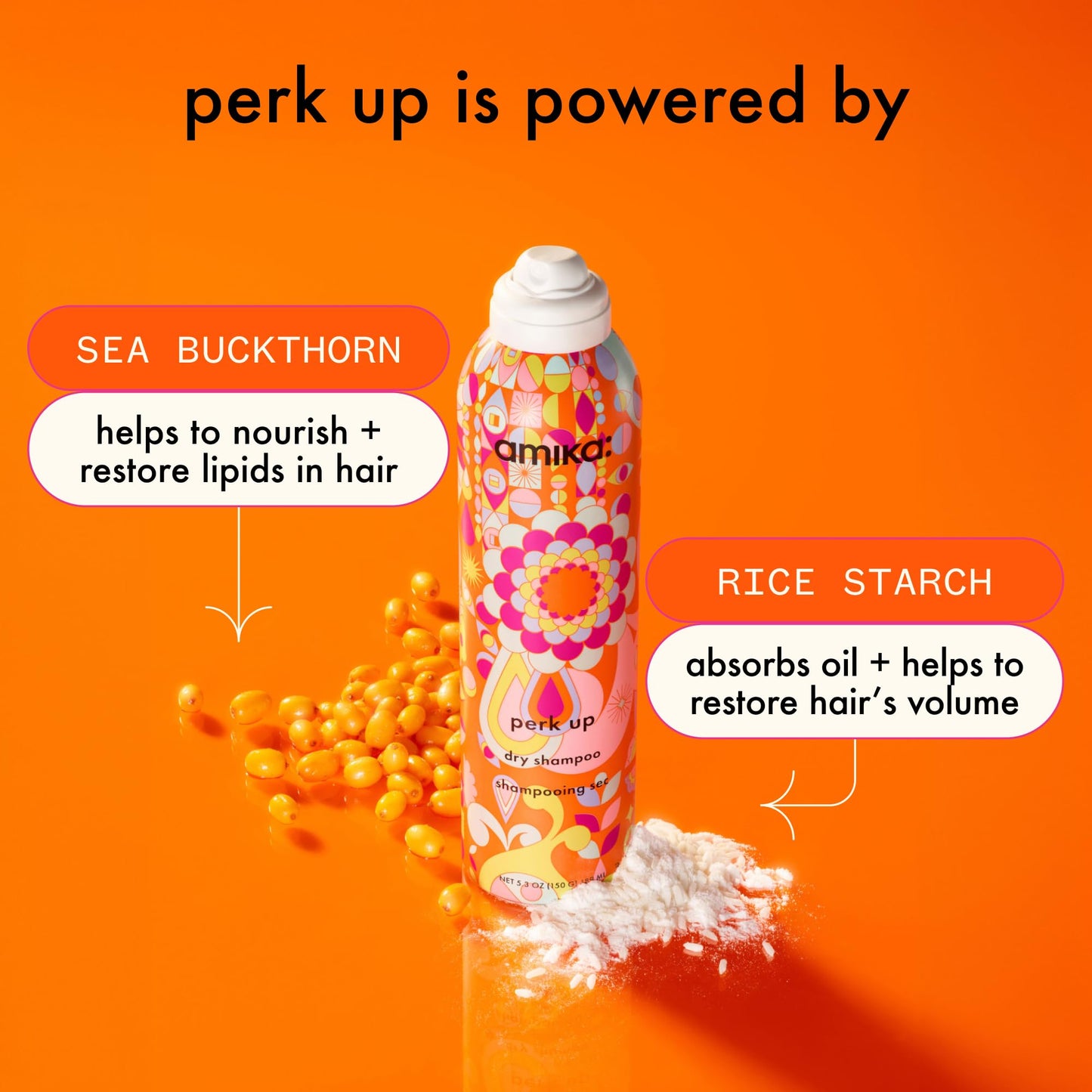 amika Perk Up Dry Shampoo, 5.3 oz. (Pack of 1)