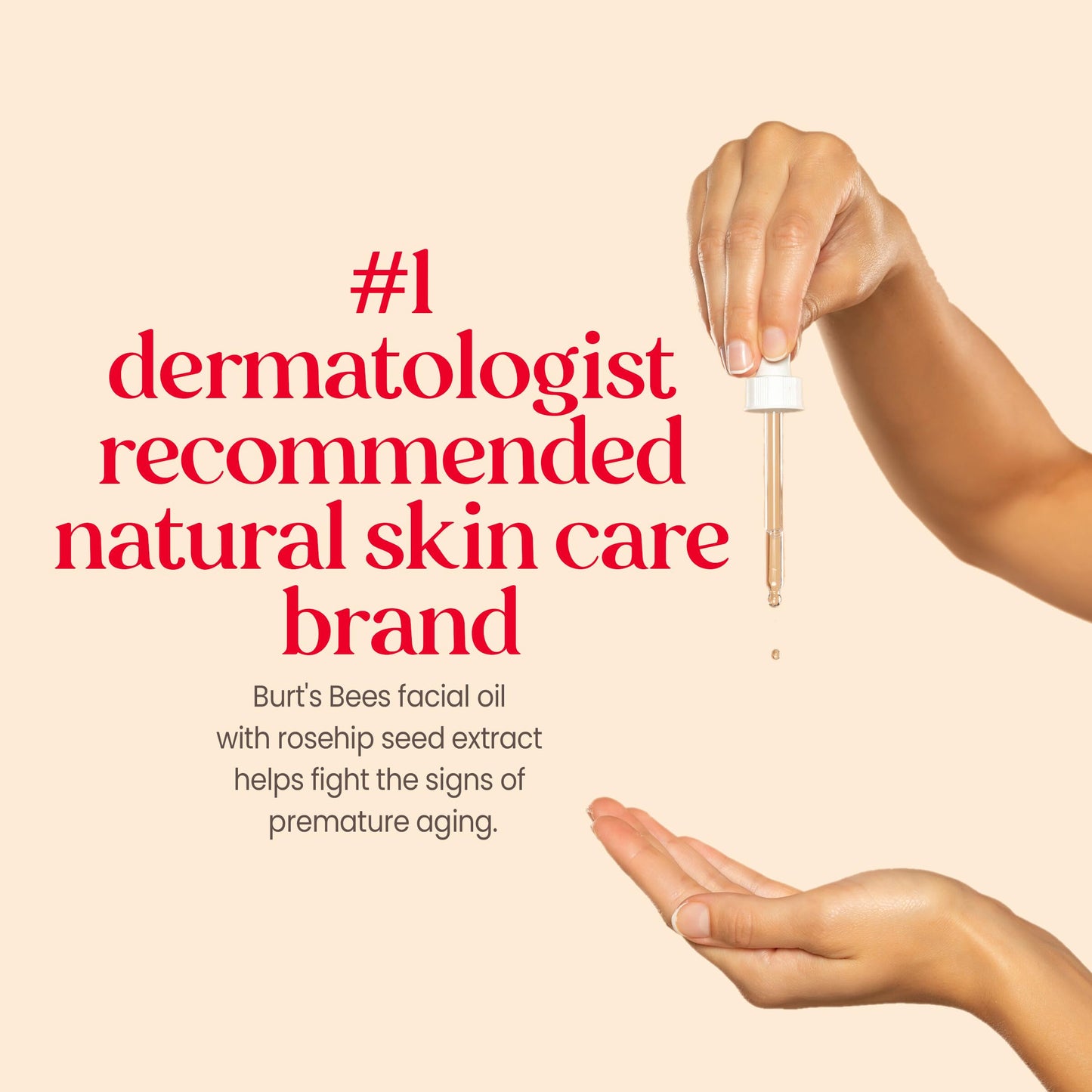 Burt's Bees Gua Sha Face Oil with Rosehip Seed – Reduces Fine Lines & Wrinkles, Use with Ice Roller & Facial Tools, 0.51 fl. oz.