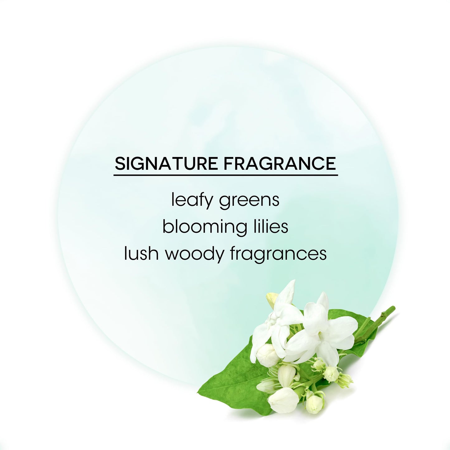 Bain de Terre Rise N' Shine Volumizing Foam, Lightweight Medium Hold & Volume with Argan & Monoi Oils, Paraben-Free, Color-Safe, Vegan, 6.7 Fl Oz