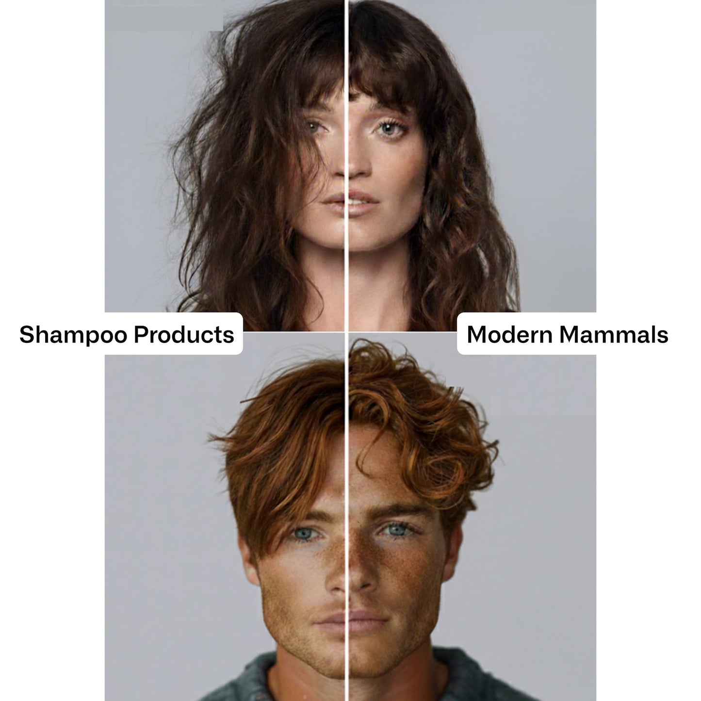 Modern Mammals Men's Hydrating 2-in-1 Cowash | Sulfate-Free, Lather-Free Cleanser | Boosts Volume, Non-Drying, Barber Recommended, 8oz