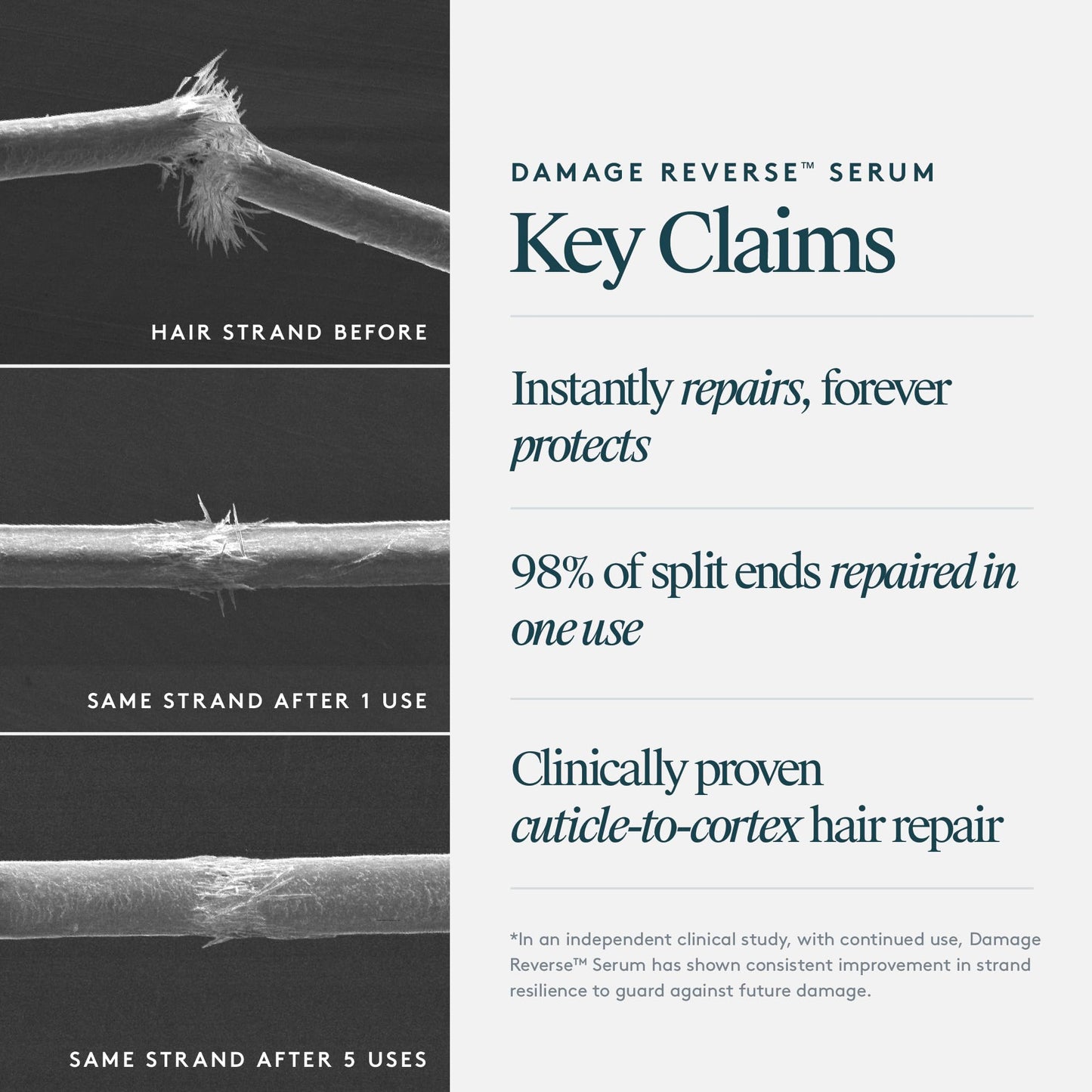 VIRTUE Recovery Damage Reverse Hair Serum